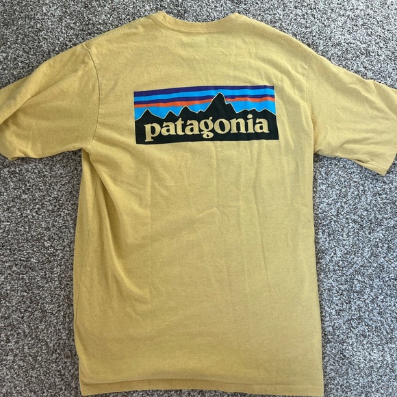 Patagonia tshirt - Picture 2 of 2